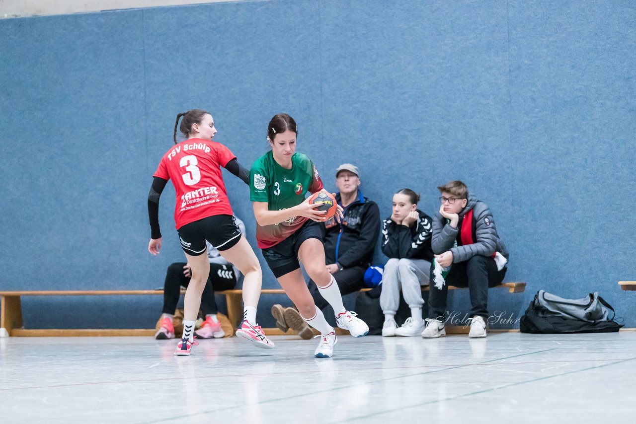 Bild 117 - F HSG Kremperheide/Muensterdorf - TSV SR Schuelp : Ergebnis: 19:14